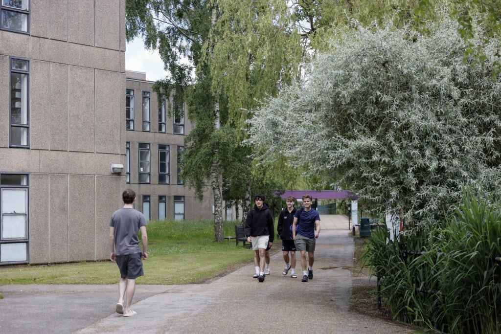 Students at the University of York's West Campus.