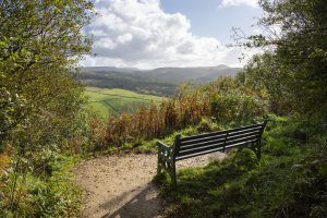 Bench with a beautiful view