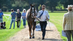 Blenheim Horse Trials trot-up Gubby Leech and Direct Ballytarsna Ducarel