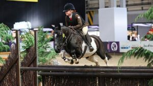 A piebald pony clears a working hunter pony jump at HOYS.