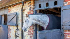 Feeding a horse with no energy