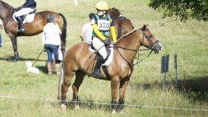 Competing your horse alone : person in cross-country warm-up