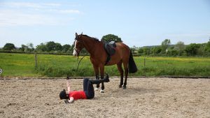 A rider laying on the ground in front of a horse on a sand arena simulating a fall.