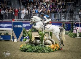 Showjumping news: Kendal Lehan and Audacious. Image by Ben Radvanyi Photography.