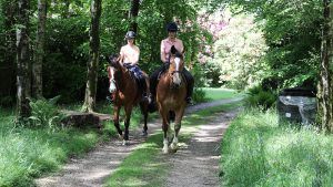 Ride your horse behind when hacking: how to teach him to be comfortable in the rear