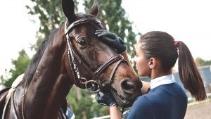 2CNM460 Close up hands of jockey woman hugging a horse. Young girl petting her horse in stable. Equine therapy concept. Love between peo. Image shot 09/2020. Exact date unknown.