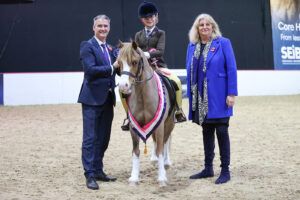 Meet the winners from the SEIB Search For A Star finals at Your Horse Live