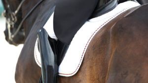 A close up of a grand prix dressage horse and rider showing the saddle pad, saddle, upper part of the rider’s patent black boots, tails of their black coat with the horse's head, wearing a double bridle, out of focus facing away from the camera.