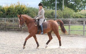 Debbie lush lessons on straightness. Riding with no stirrups.