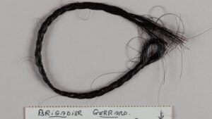 Horse hair locks from famous racehorses sold at auction