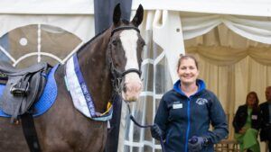 An alert black horse with a white blaze down his face being held on a headcollar and lead rope by a smiling woman