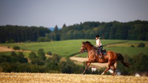 A horse rider enjoying a canter through the countryside.