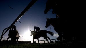 Horses racing at Cheltenham silhouetted against the light.