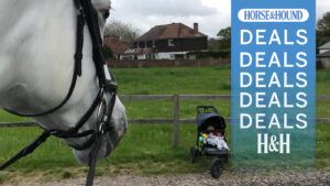 Horse head watching baby in a pram, with H&H deals graphic