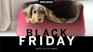 Black Friday Dog Bed Deals graphic