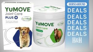 YuMove Horse and Hound lead image