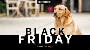 Black Friday dog deals graphic with Horse & Hound logo