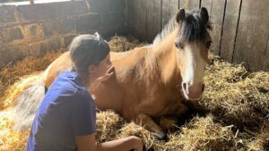 Wirral Riding Centre won the 2024 Changing Lives through Horses award.