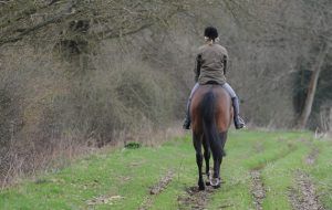 Apps for horse riders to help you make the most of your horse time