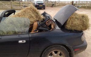 Keeping your car clean and tidy is a common horsey New Year’s resolution