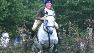 Working hunter pony training - grey pony jumping bullfinch