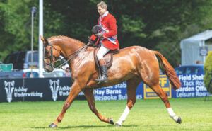 Mulberry Lane, a stunning example of a show horse that has been beautifully prepared for the ring.