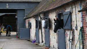 A block of four brick stables, with a black and grey horses' heads over the nearest two doors