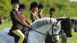 First-ridden class line-up at TSR Spring Show - training over winter pays off for the summer shows