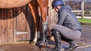 Best magnetic boots for horses