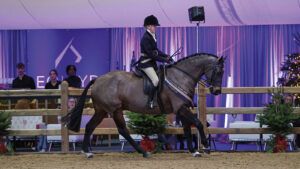 Chloe Owen and Tarr Dauntless win the Rising Star hunter championship at London International