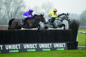 L'Eau Du Sud is among this year's potential Cheltenham Festival runners, running in the colours of the late John Hales.