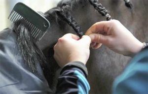 Hands doing horse plaits