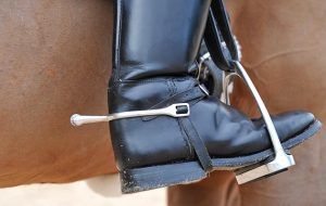 Dutch government vote to ban inhumane tack and training aids