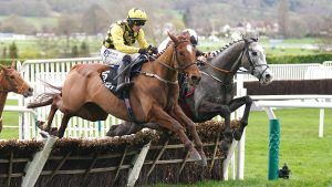 State Man wins the 2024 Champion Hurdle at Cheltenham Festival under Paul Townend