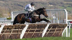 Cheltenham Festival Champion Hurdle result Constitution Hill wins