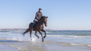 Cantering along a beach: a sign that riders confidence is high.