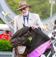 David Zouch Ross bred a dynasty of ponies carrying the Falconhurst prefix and was recognised the world over.