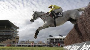 Cheltenham Festival tickets Politologue retired: the popular grey bowed out after finishing fourth in the 2022 Queen Mother Champion Chase