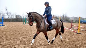 Kylie Roddy schooling at home.