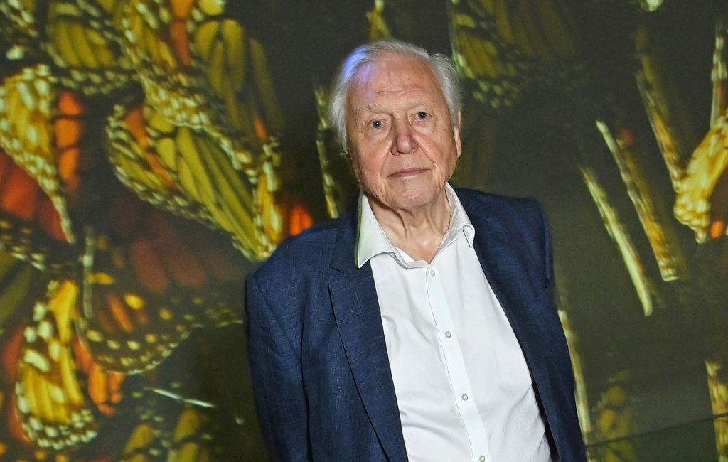 David Attenborough