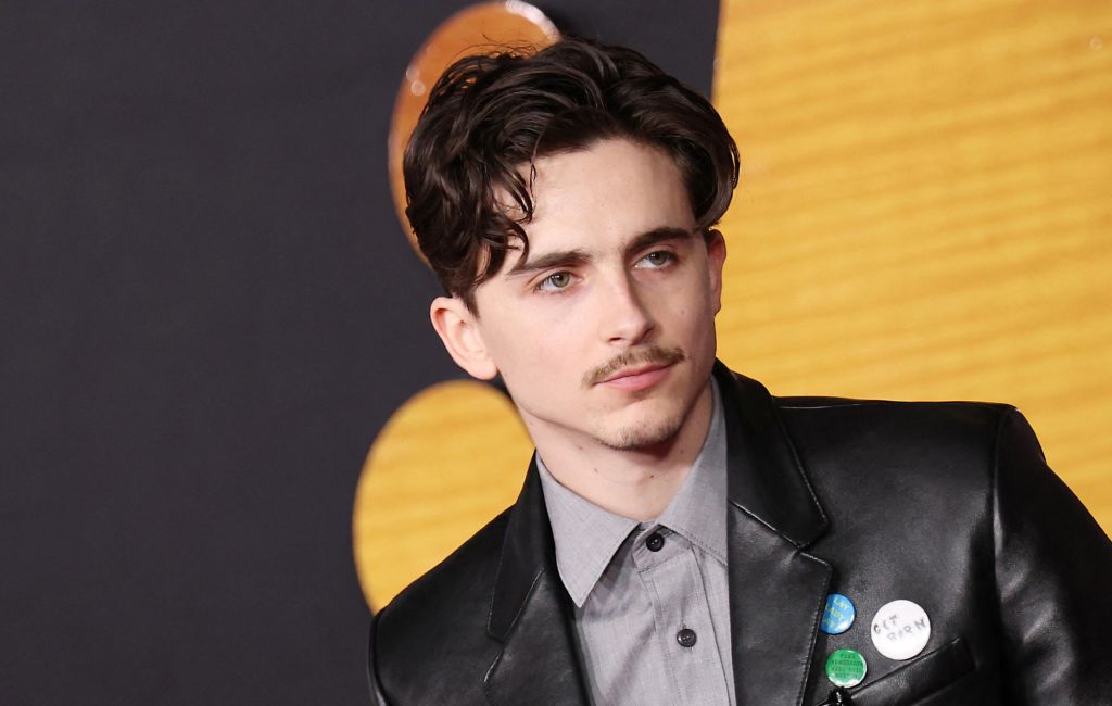 Timothée Chalamet