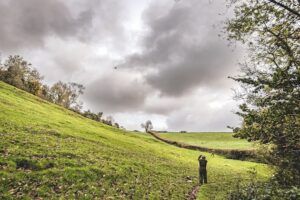 pheasant shooting