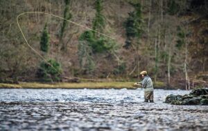 Fishing schools