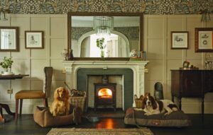 Dogs by fireside