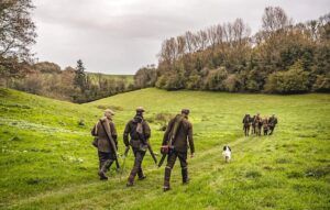 small pheasant shooting day