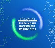 Sustainable Investment Awards Winners Interview - UBS