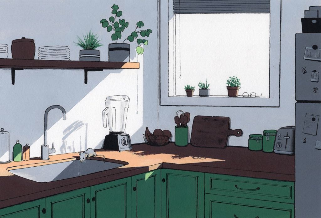 An illustration of an apartment with green cupboards and brown counters. A mouse looks over the edge of a sink.