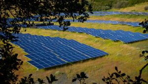 A solar energy farm.