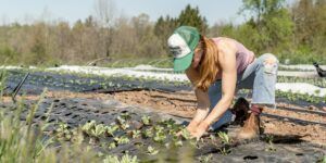 A farmer hard at work in the field.