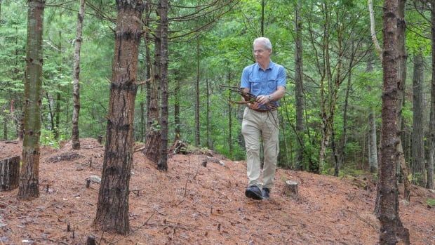 A man in a short sleeve blue collared shirt carries a bundle of sticks through a wooded area.